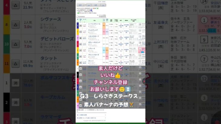 #edm #music #party #electronicmusic #競馬予想 #turnupthenight ＃競馬#G3#阪神競馬場 #しらさぎステークス#バナ〜ナ