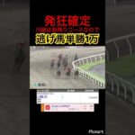 【発狂確定】川崎競馬は前残りコースなので逃げ馬を買えば間違い無いです。　#競馬予想 #競馬 #jra #地方競馬 #ギャンブル #ギャンブル依存症 #ウマ娘プリティーダービー #ウマ娘 #武豊