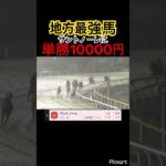 【地方最強馬】サントノーレ応援しています。　#競馬 #競馬予想 #jra #地方競馬 #ウマ娘#ウマ娘プリティーダービー #サントノーレ #ギャンブル依存症 #ギャンブル #武豊 #単勝