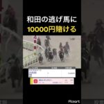 【発狂確定】和田騎手の先行馬は強すぎるので単勝一万円勝負！　#競馬 #競馬予想 #jra #地方競馬 #ウマ娘 #ウマ娘プリティーダービー #ギャンブル #ギャンブル依存症 #武豊 #大井競馬