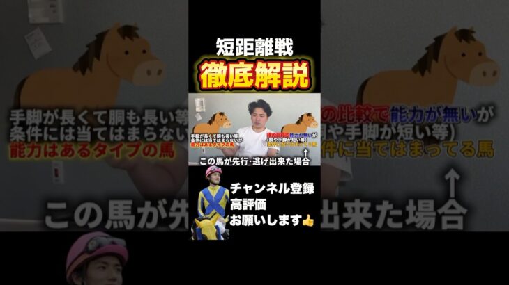 【競馬】短距離戦で重要な事とは？#函館記念 #ラジオnikkei賞 #競馬予想
