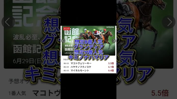 【競馬穴馬予想】 #函館記念 #ラジオnikkei賞 #競馬 #競馬予想