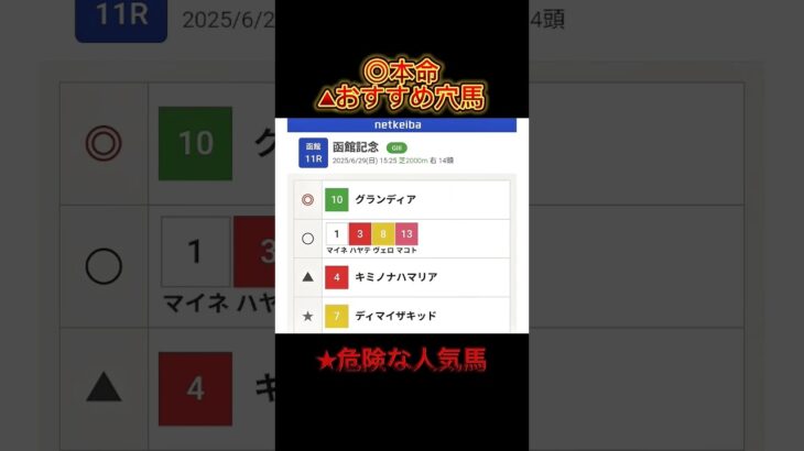 【穴党の競馬予想】  #函館記念 #ラジオnikkei賞 #中央競馬予想 #競馬予想 #競馬