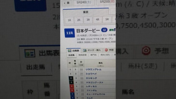 ダービー対抗 #remix #dance #party #edm #eurovision #shortvideo #競馬 #中央競馬予想 #東京競馬予想