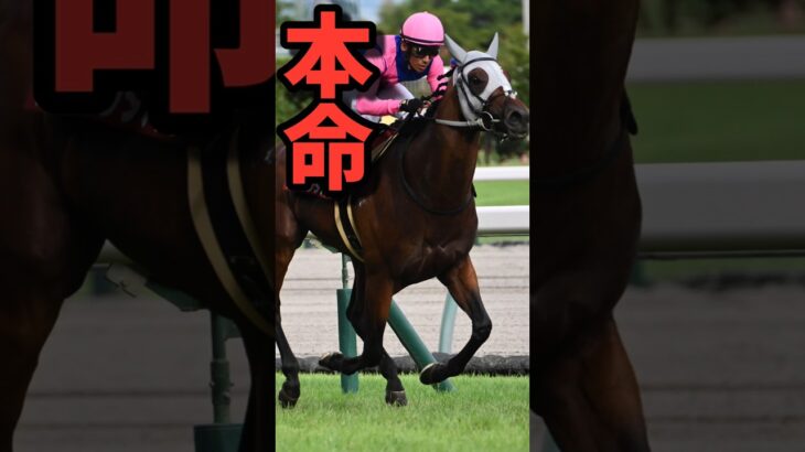 宝塚記念………………本命は………………!!!!!#競馬 #競馬予想 #宝塚記念 #shorts