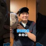 安田記念の本命発表！ #安田記念 #競馬 #予想 #shorts
