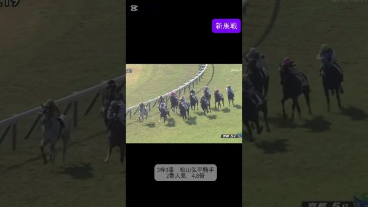 デアリングタクト　新馬戦　#競馬 #ウマ娘 #shorts #JRA #競馬予想