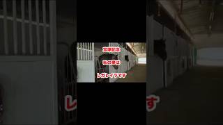 【宝塚記念】私の夢はレガレイラです#shorts #short #競馬 #予想