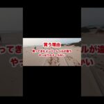 【しらさぎＳ】チェルヴィニア買う？買わない？#shorts #short #競馬#予想