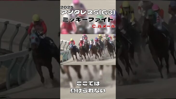 アンタレスステークス ミッキーファイト Ｃルメール ここでは負けられない#競馬 #競馬予想 #馬 #shorts #shortvideo