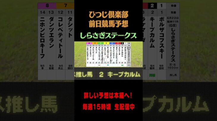 ひつじ倶楽部前日競馬予想〜しらさぎステークス〜 #しらさぎステークス #競馬 #競馬予想 #shortvideo  #jra #snowman #ytshorts #motivation #オッズ