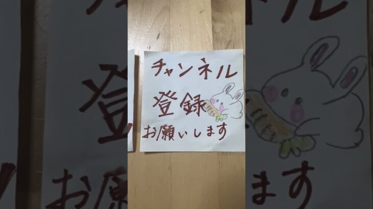 函館記念　最終結論 #shortvideo #競馬 #中央競馬予想 #today#shorts #short