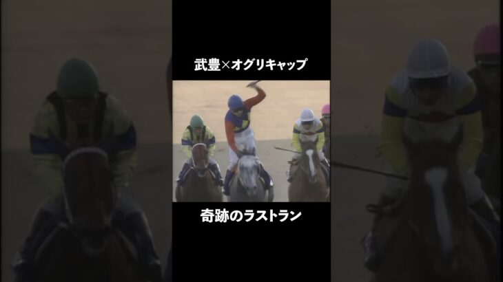 武豊✖️オグリキャップ #中央競馬 #中央競馬予想 #函館競馬場 #大井競馬場 #福島競馬場 #競馬予想 #競馬 #競馬初心者 #競馬好きな人と繋がりたい #武豊 #武豊tv #オグリキャップ