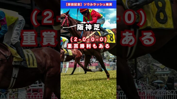 【宝塚記念】メイショウタバル #予想 #競馬 #競馬予想