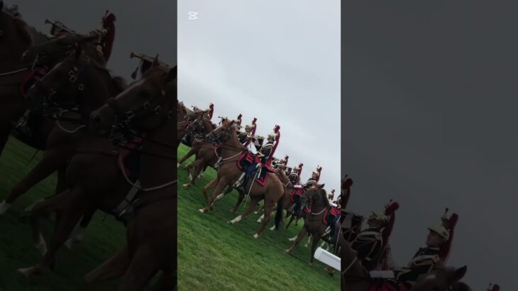#東京ダービー予想#競馬予想#大井競馬
