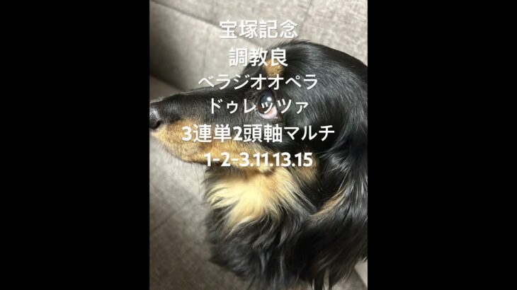 #競馬予想  宝塚記念