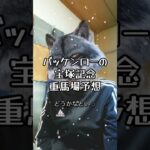 バッケンローの宝塚記念、重馬場について　#競馬予想
