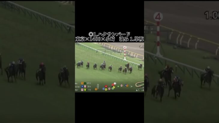 東京てメインの結果！誰もいない場所から来るのがたまらなく #競馬 #競馬予想 #競馬結果 #東京競馬 #東京競馬場 #東京競馬予想