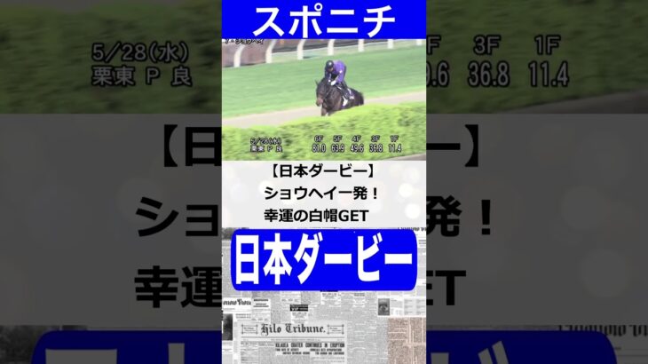 日本ダービー　ニュースまとめと元厩務員の競馬予想　#日本ダービー