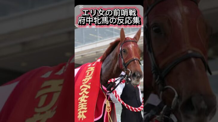 府中牝馬皆んなの反応#府中牝馬ステークス#カニキュル#ラヴェル#競馬 #競馬予想 #中央競馬予想 #百貨店マン
