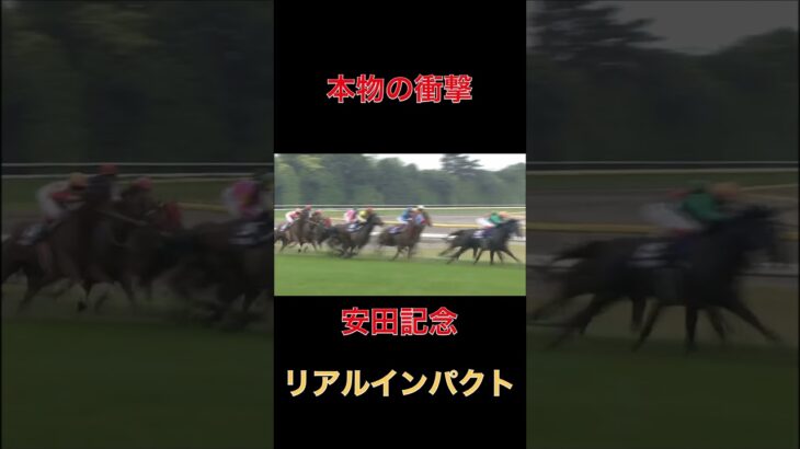 本物の衝撃リアルインパクト【競馬】#競馬#予想#馬券