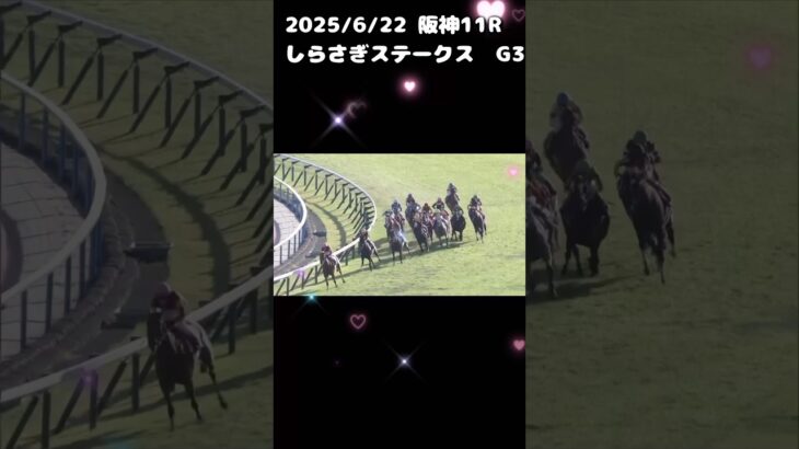 しらさぎステークス　もちおの当たらない予想#競馬 #競馬予想 #競馬予想動画 #しらさぎステークス　#うま娘