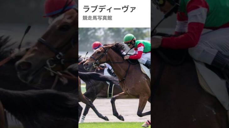 #競馬 #競馬予想 #田中勝春 #武豊 #初コンビ#野口美香 #馬 初コンビ！！！うれしーー！！
