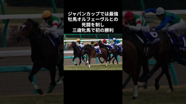競馬 伝説のレース 名馬 名場面 【ウマ漬け】 #競馬 #馬娘 #伝説 #ジェンティルドンナ #名馬 #感動