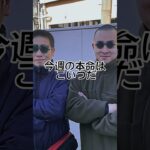 しらさぎユテークス予想動画‼︎ #競馬 #競馬予想
