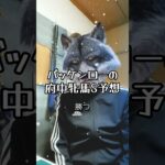 バッケンローの府中牝馬ステークス予想です　#競馬予想