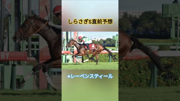 しらさぎＳ直前予想＆買い目公開　#競馬予想 　#阪神　