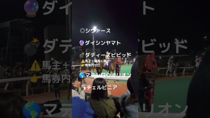 しらさぎステークス　占い🔮ました #しらさぎステークス #競馬予想 #中央競馬予想 #穴馬予想 #穴馬占い