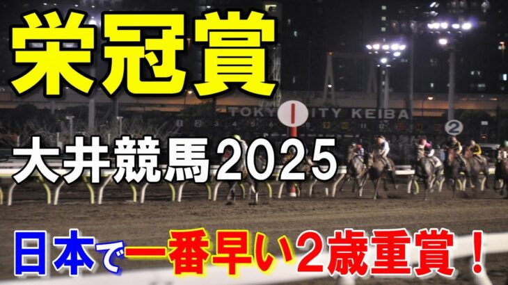 栄冠賞２０２５【門別競馬予想】１頭抜けて強いと思いますが・・・