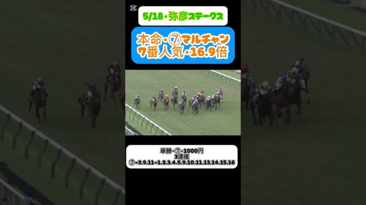 【競馬】期待値を求めて穴馬勝負‼️ #競馬　#競馬予想  #ギャンブル