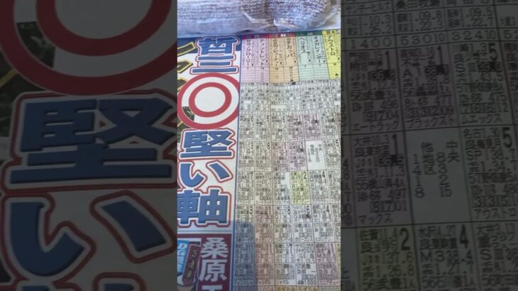 競馬予想　さきたま杯　◎シャマル