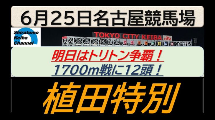 【競馬予想】植田特別～２０２５年６月２５日 名古屋競馬場 ：６－２８