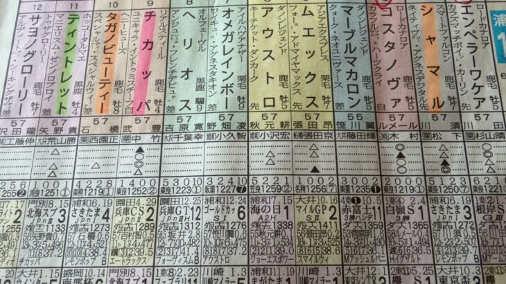 さきたま杯　【競馬予想】
