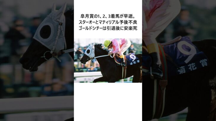 スターホース雑学～ゴールドシチー編 #競馬 #競馬予想 #推奨馬 #競馬雑学 #ウマ娘 #オグリキャップ
