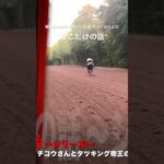 【ここだけの話】 栗東担当競馬スポーツ記者　チコウさんとのここだけの話シリーズ #競馬 #競馬予想 #競馬情報
