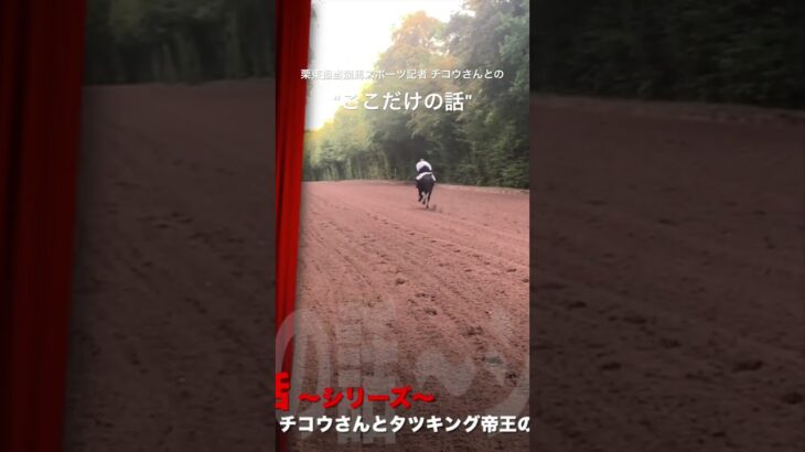 【ここだけの話】 栗東担当競馬スポーツ記者　チコウさんとのここだけの話シリーズ #競馬 #競馬予想 #競馬情報