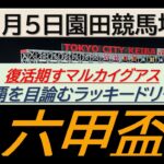 【競馬予想】六甲盃～２０２５年６月５日園田競馬場 ：６－６