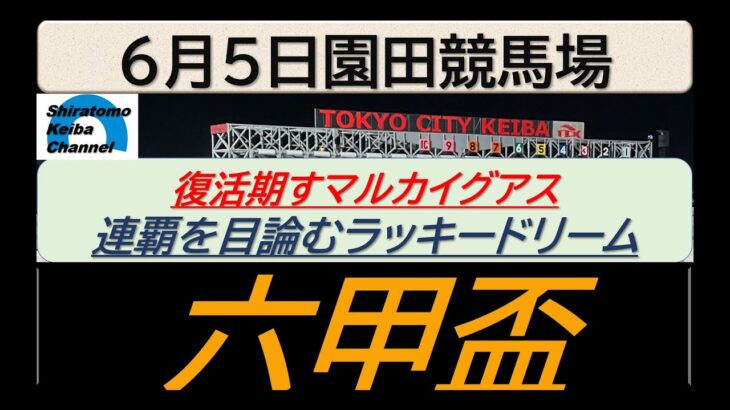 【競馬予想】六甲盃～２０２５年６月５日園田競馬場 ：６－６