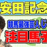 【競馬】安田記念でのじゃいの予想【勝ち馬予想】