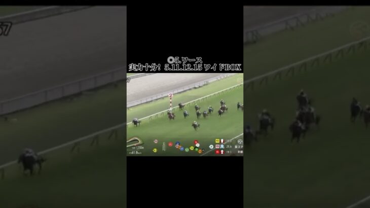 葵ステークスの結果です、見えたまさに大波乱！大波乱であります#競馬 #競馬結果 #中央競馬 #中央競馬予想 #京都競馬 #京都競馬場 #京都競馬予想 #葵ステークス
