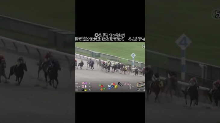 東京メインで明日のように当てたか #競馬 #競馬予想 #競馬結果 #東京競馬 #東京競馬場 #東京競馬予想