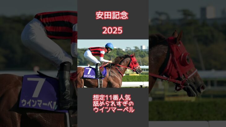 #安田記念 #競馬予想 #競馬