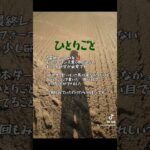 穴馬占い🔮結果報告 #中央競馬予想 #競馬 #穴馬予想 #穴馬占い#最終レースの鬼