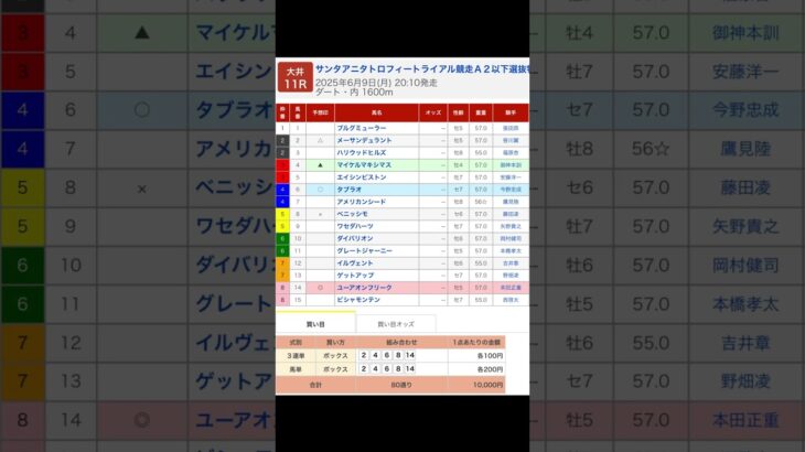 大井競馬場 メインレース サンタアニタトロフィートライアル を予想します #競馬 #予想 #競馬予想 #買い目 #大井競馬 #大井競馬場 #メインレース #地方競馬 #サンタアニタトロフィートライアル