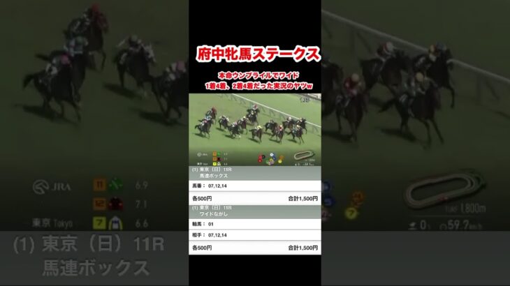 府中牝馬ステークス本命ウンブライルだった実況のヤツw#shorts #short #競馬#予想