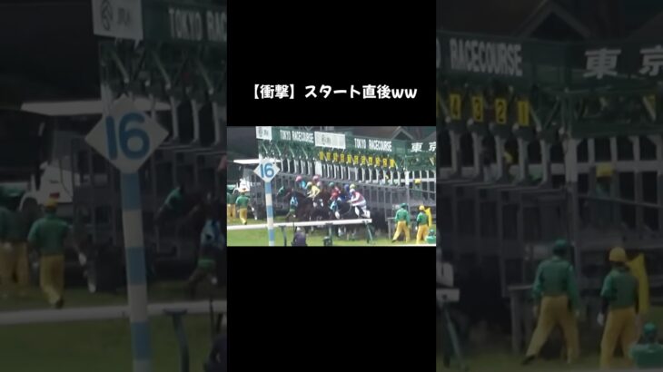 【珍・衝撃】スタート直後ww#競馬 #競馬予想 #珍スポット #衝撃
